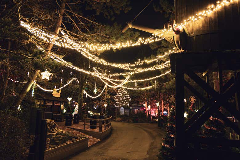 Step into a winter wonderland!